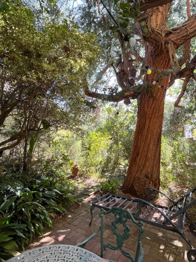 Constantia Guest House Cape Town Ngoại thất bức ảnh
