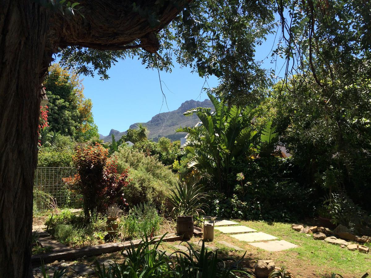 Constantia Guest House Cape Town Ngoại thất bức ảnh